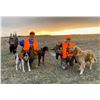 Image 2 : South Dakota Pheasant Hunt “ 4 People for 1 Day, 2 Nights Donated by Dakota Prairie Lodge a