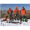 Image 4 : South Dakota Pheasant Hunt “ 4 People for 1 Day, 2 Nights Donated by Dakota Prairie Lodge a
