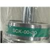 Image 4 : CKD #SCK-00-30 Adjustable Shock Absorber