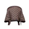 Image 3 : Louis Vuitton Damier Ebene Marais Bucket Bag