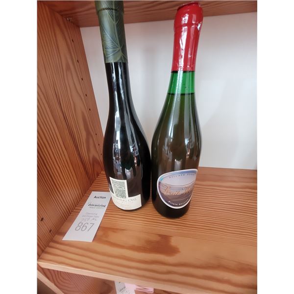 Unopened, Burrowing Owl and more A