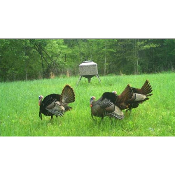 Central Alabama Turkey Hunt