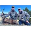 Image 1 : Pyrenean Chamois Hunt