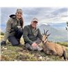 Image 4 : Pyrenean Chamois Hunt