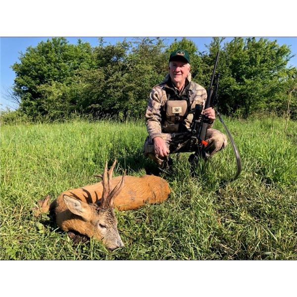 Roe Deer Hunt in Serbia