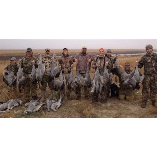 Texas Sandhill Crane Hunt