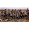 Image 1 : Texas Sandhill Crane Hunt