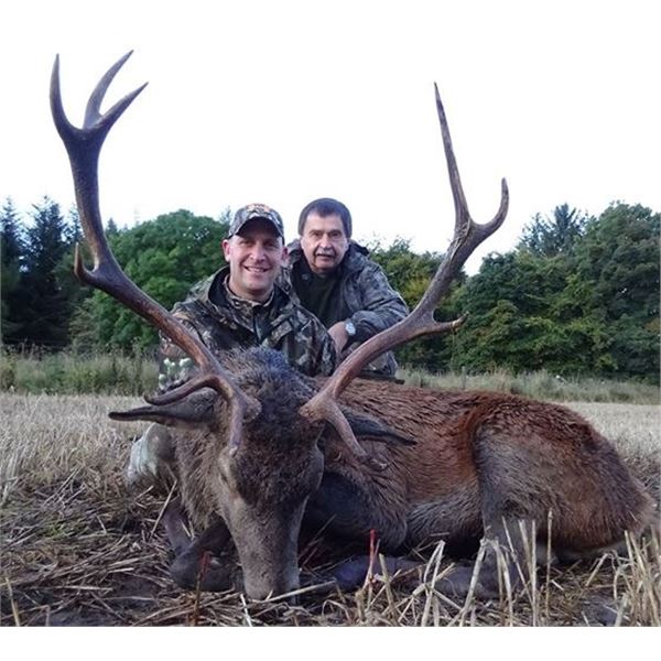 Fall Red Stag Hunt (Scotland)