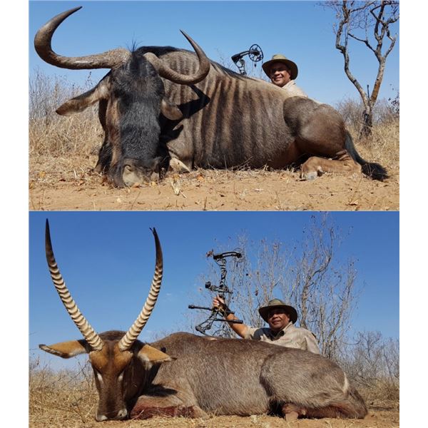 African Hook and Barrel Safari With Bronkhorst Safaris
