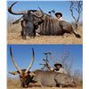 Image 1 : African Hook and Barrel Safari With Bronkhorst Safaris