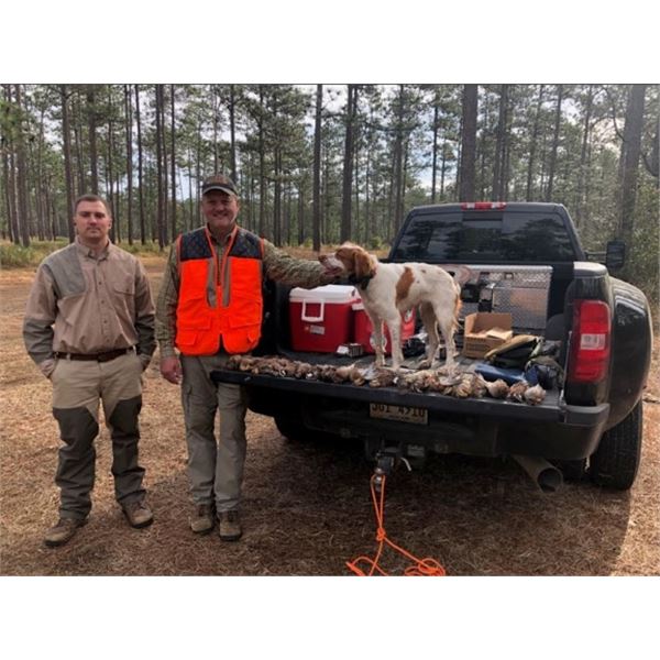 Southern Style Quail Hunt for 2 Hunters