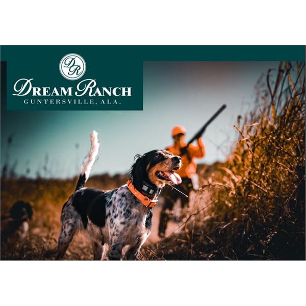 Plantation Style Split-Day Quail Hunt for 2 Hunters