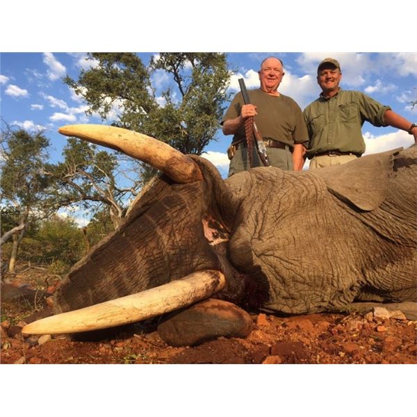 Sable and Gemsbok in South Africa