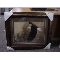 eagle Soaring Print