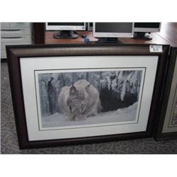 lynx Dozing Print By Robert Bateman