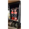 Image 1 : TWO SMALL FIRE EXTINGUISHERS