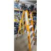 Image 5 : ONE SIX' STEP LADDER AND ONE 6' LADDER