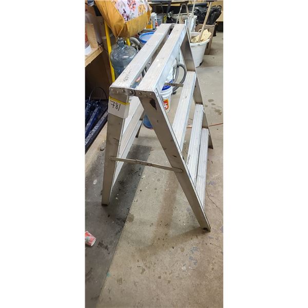48" STURDY LADDER