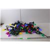 Image 1 : Multi Colored Christmas Lights- Power On