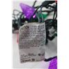 Image 2 : Multi Colored Christmas Lights- Power On