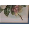 Image 2 : Rose Watercolor Print in Frame - 16.5" x 20"