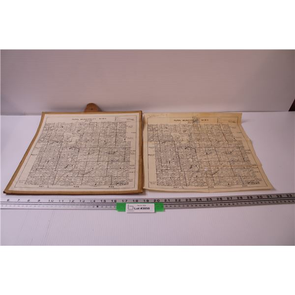 (2) Rural Municipality of Bayne Maps - No.371 - 13.5" x 14"
