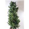 Image 4 : Holiday Time 4 Foot Tall Potted Christmas Tree with Lights- Powers On