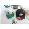 Image 3 : (6) Saskatchewan Roughriders Caps and Shirt Pin