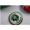 Image 4 : (6) Saskatchewan Roughriders Caps and Shirt Pin