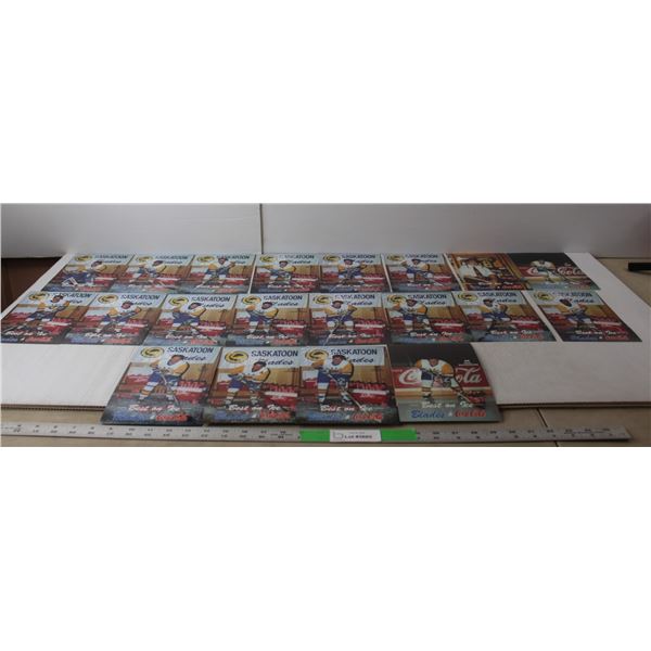 (20) Blades Best on Ice Player Photos