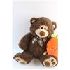 Image 2 : Plush Bear and Carrot Toys