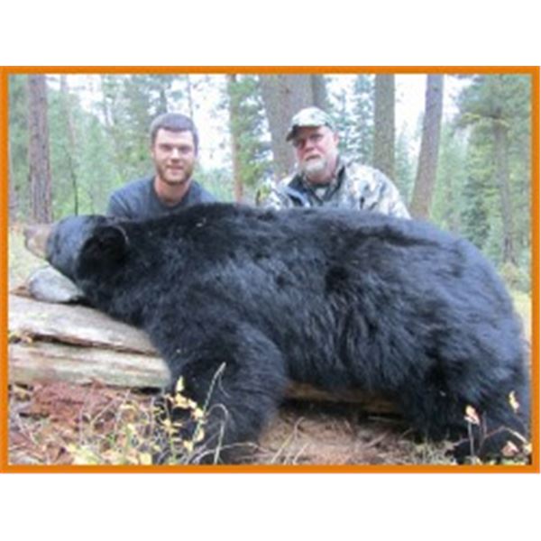 6-DAY IDAHO BEAR HUNT