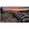 Image 2 : WYOMING 2-DAY GOOSE HUNT FOR 3