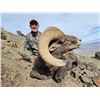 Image 7 : UTAH CALIFORNIA BIGHORN SHEEP PERMIT