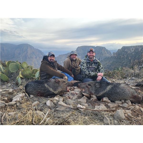 JAVALINA HUNT FOR 4 HUNTERS WITH ELK BONUS