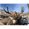 Image 13 : 6-DAY MULE DEER HUNT IN CANADA