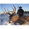 Image 3 : 6-DAY MULE DEER HUNT IN CANADA