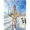 Image 6 : 6-DAY MULE DEER HUNT IN CANADA