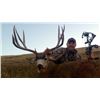 Image 8 : 6-DAY MULE DEER HUNT IN CANADA