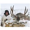 Image 9 : 6-DAY MULE DEER HUNT IN CANADA