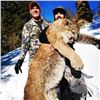 Image 5 : WYOMING MOUNTAIN LION HUNT