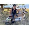 Image 2 : WYOMING TROPHY ARCHERY ANTELOPE HUNT