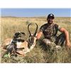 Image 3 : WYOMING TROPHY ARCHERY ANTELOPE HUNT