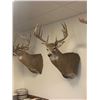 Image 5 : IOWA NON-RESIDENT WHITETAIL TAG