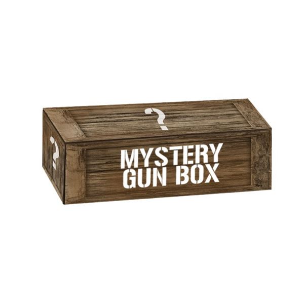 SIX MYSTERY GUN CASE AUCTION