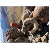 Image 2 : WYOMING BIGHORN SHEEP PERMIT