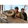Image 7 : WYOMING BIGHORN SHEEP PERMIT
