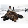 Image 3 : 10-DAY GRIZZLY/CARIBOU HUNT