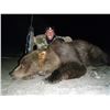 Image 4 : 10-DAY GRIZZLY/CARIBOU HUNT