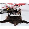 Image 5 : 10-DAY GRIZZLY/CARIBOU HUNT
